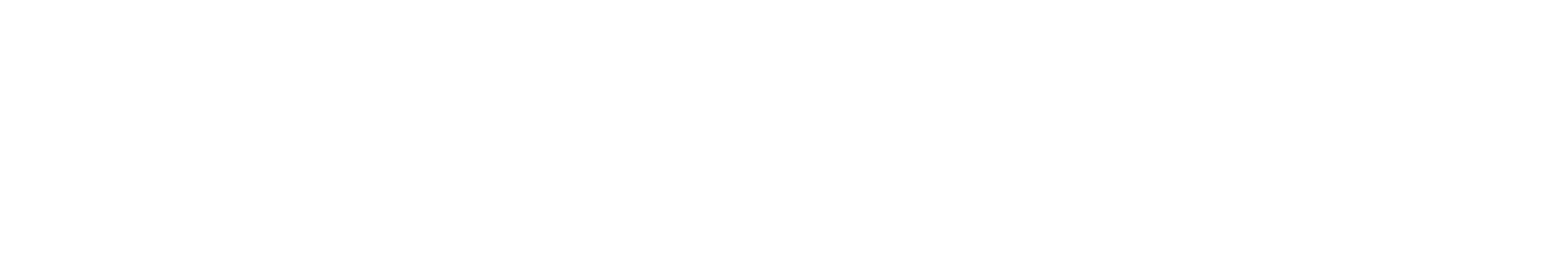 Mary Black Foundation
