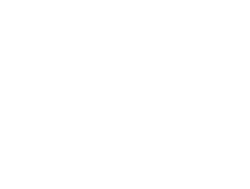 Spartanburg Academic Movement