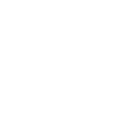 Rise Network